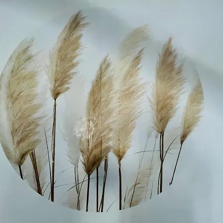 La Plume Wifi Parking Un-séjour-à-part * Clouange